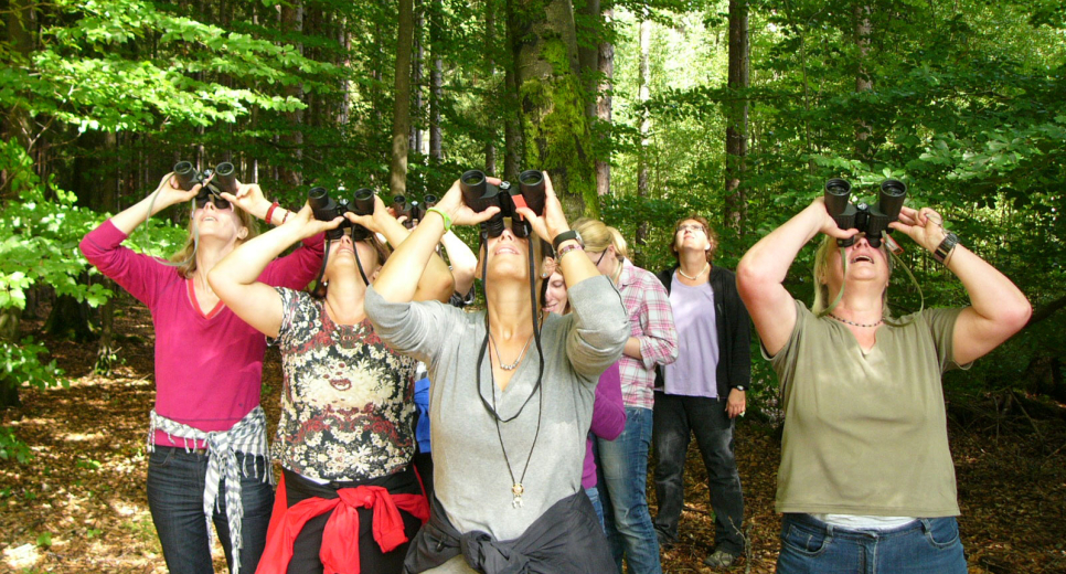 Guided tours Guided tours