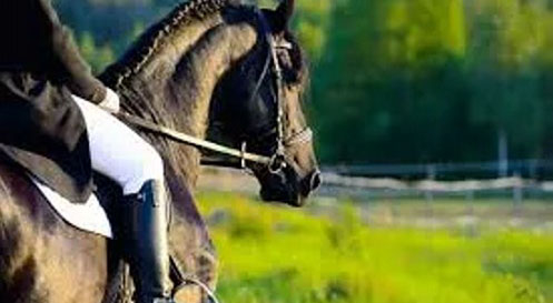 Horse riding Horse riding