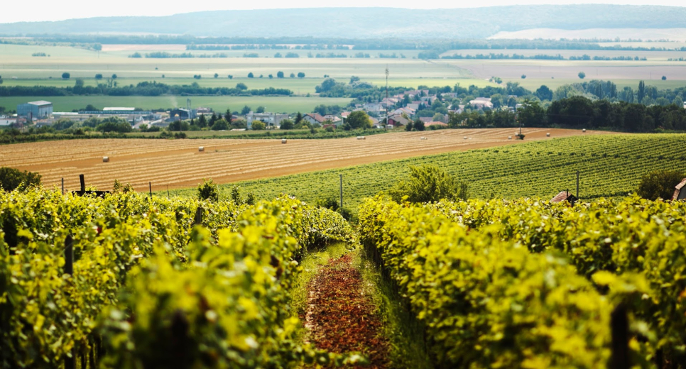 Garam Wine Region Garam Wine Region